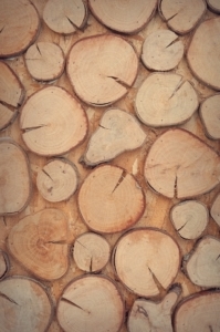 Holz für Gewürzregal