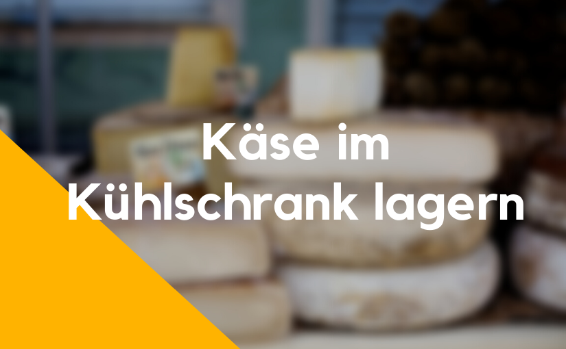 Käse richtig lagern an diese Regeln musst du dich halten! Tipps