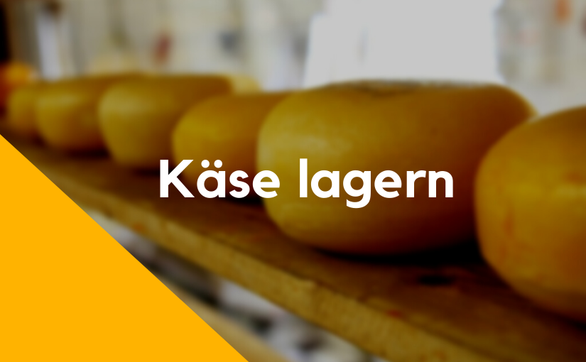 Käse richtig lagern an diese Regeln musst du dich halten! Tipps